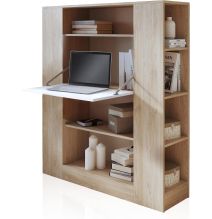 Estantería con Escritorio, Mesa de Ordenador, Acabado en Cambrian y Blanco, Medidas: 119,6 cm (Largo) x 139,6 cm (Alto) x 34,